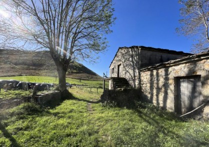 San Roque de Riomiera  EL CARACOL/2326